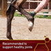 Vita Flex Pro MSM Quality Joint Supplement for Horses, Dogs and Cats - Jeffers - Animal Health & Wellness > Joint Health