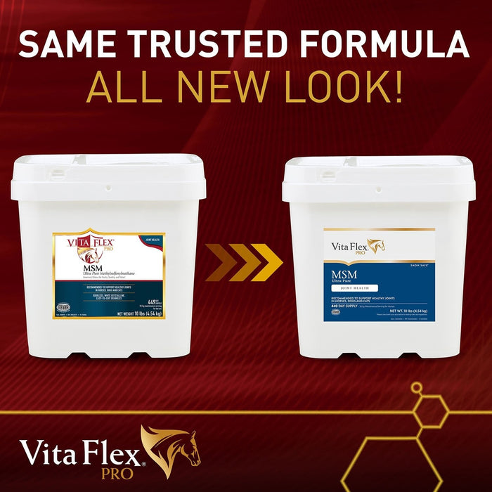 Vita Flex Pro MSM Quality Joint Supplement for Horses, Dogs and Cats - Jeffers - Animal Health & Wellness > Joint Health