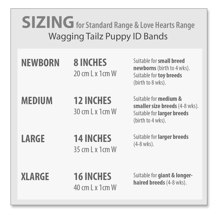 Wagging Tailz Love Hearts Puppy Id Bands, 12 - pack - Jeffers - Dog Supplies > Dog Apparel > Dog Collars, Harnesses, & Leashes