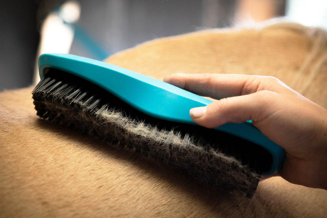 Wahl Stiff Body Brush - Jeffers - Horse Supplies > Horse Grooming