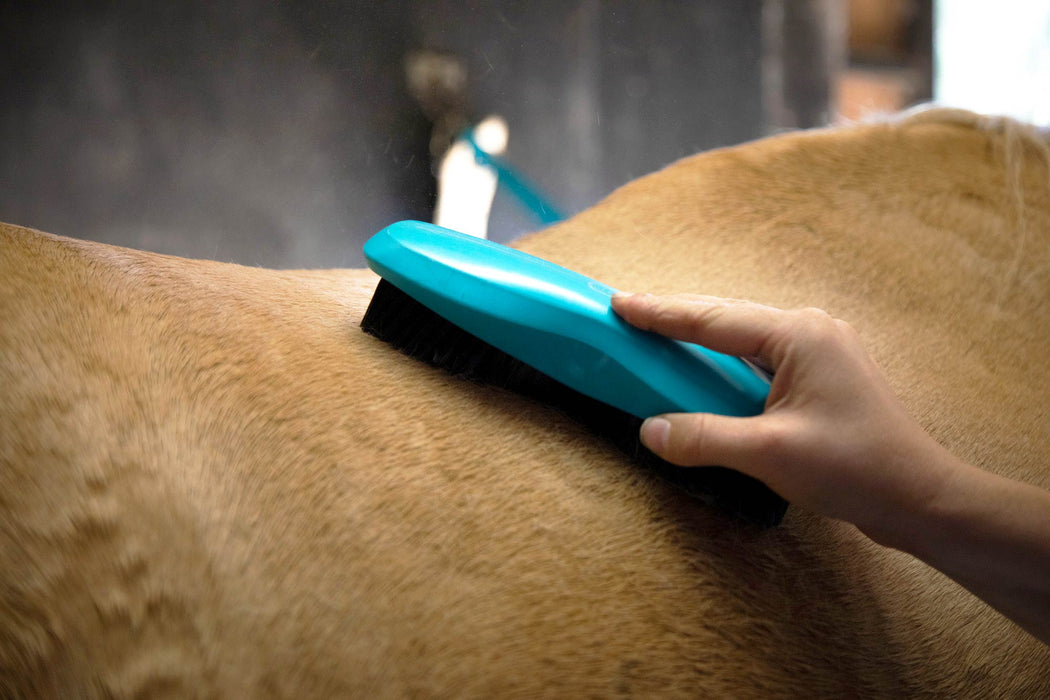 Wahl Stiff Body Brush - Jeffers - Horse Supplies > Horse Grooming