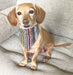 Walking Palm Dog Bandana - Jeffers - Dog Supplies > Dog Apparel