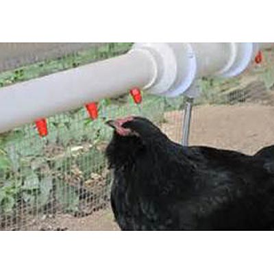 Watering Nipples, 4 Pack - Jeffers - Poultry Supplies > Poultry Supplies