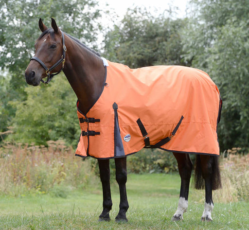 WeatherBeeta ComFITec Classic Standard Neck Turnout Sheet - Jeffers - Horse Supplies > Horse Blankets & Sheets