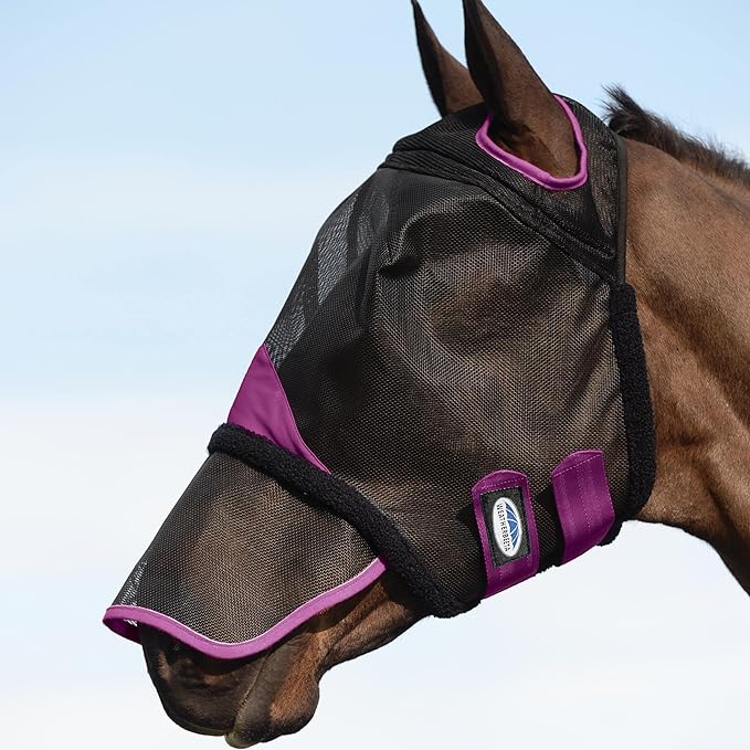 WeatherBeeta ComFITec Durable Mesh Fly Mask with Nose, Black & Purple - Jeffers - Horse Supplies > Horse Fly Masks