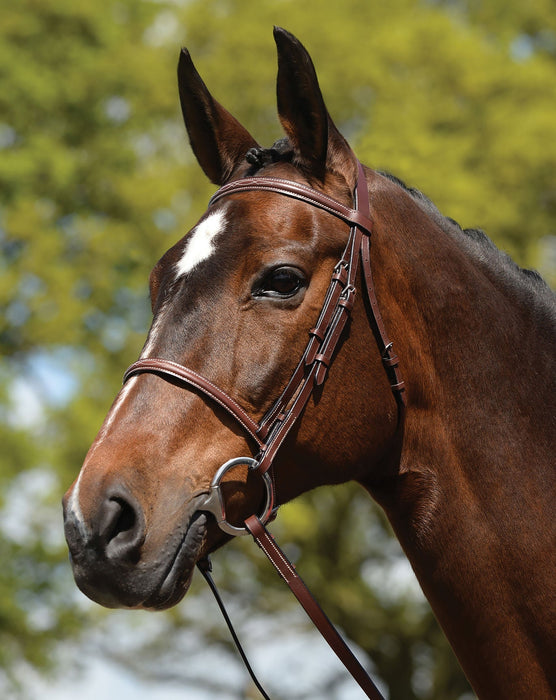 Weatherbeeta Fancy Stitched Bridle w/ Reins, Brown - Jeffers - Horse Supplies > Horse Tack > Bridles & Headstalls