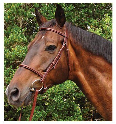 Weatherbeeta Kincade Plain Raised Bridle, Full size - Jeffers - Horse Supplies > Horse Tack > Bridles & Headstalls