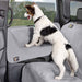 WeatherTech Door Protector, Set of 2 - Jeffers - Animal & Pet Supplies > Animal & Pet Supplies