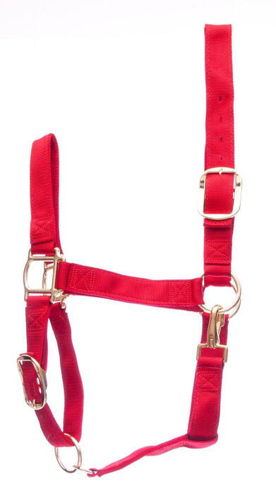 Weaver Draft Horse Halter, Regular (1400 - 1700 lb) - Jeffers - Horse Supplies > Horse Tack > Horse Halters