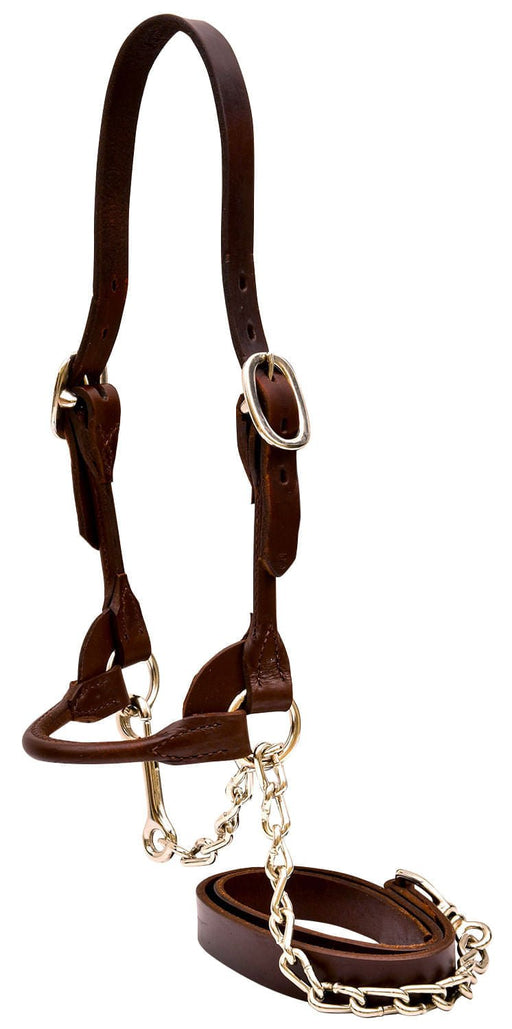 Weaver Leather Classic Rounded Cattle Show Halter, Large - Jeffers - Cattle Supplies > Cattle Supplies