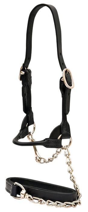 Weaver Leather Classic Rounded Cattle Show Halter, Small - Jeffers - Horse Supplies > Horse Tack > Horse Halters