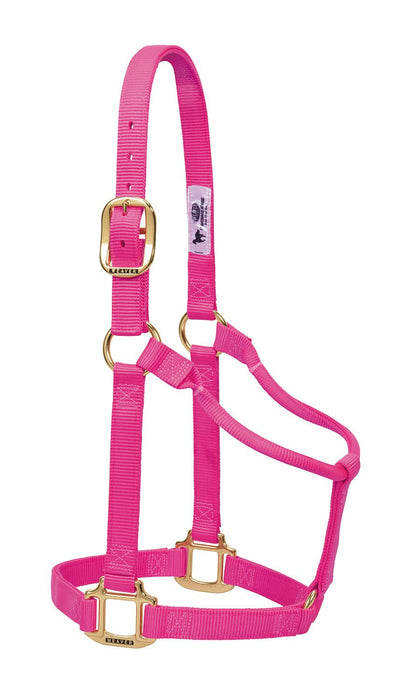 Weaver Original Nylon Horse Halter - Jeffers - Horse Supplies > Horse Tack > Horse Halters