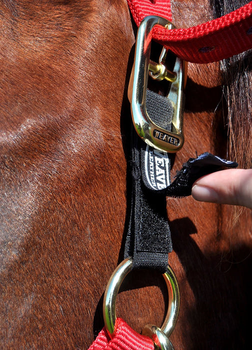 Weaver Xtended Life Closure System Breakaway Halter - Jeffers - Horse Supplies > Horse Tack > Horse Halters