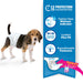 Wee - Wee Disposable Dog Diapers - Jeffers - Animal & Pet Supplies > Pet Training Aids