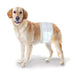 Wee - Wee Disposable Male Dog Wraps - Jeffers - Animal & Pet Supplies > Pet Training Aids