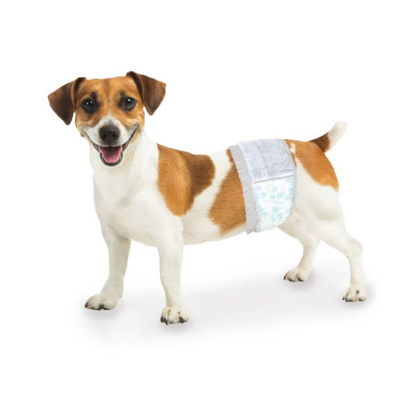 Wee - Wee Disposable Male Dog Wraps - Jeffers - Animal & Pet Supplies > Pet Training Aids