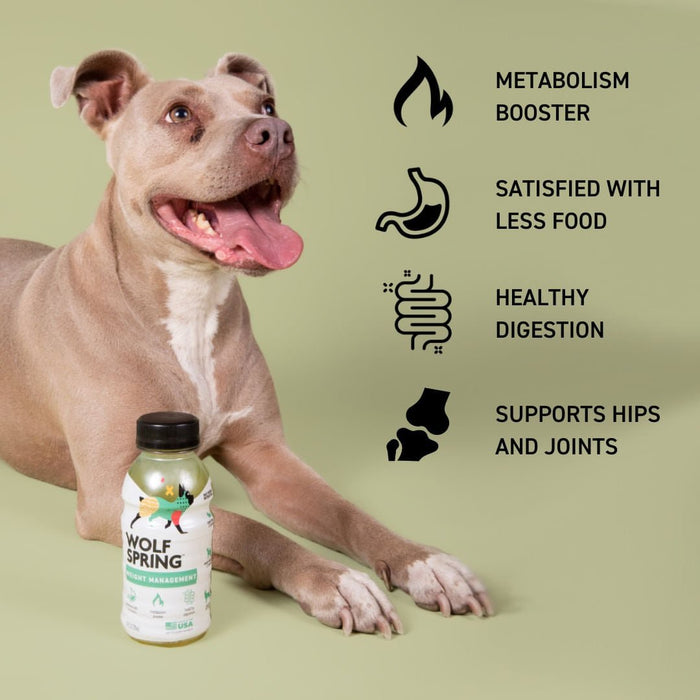 Weight Management Food Topper for Dogs - Jeffers - Animal Health & Wellness > Vitamins & Supplements