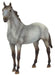 Wild Blue Horse & Book Set - Jeffers - Animal & Pet Supplies > Animal & Nature Books