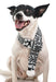 Zippy Paws Reindeer Scarf, Black/White - Jeffers - Dog Supplies > Dog Apparel